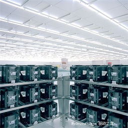 AMD产能困局 未来六个月步入风险峡谷，画面处理器面临严峻考验